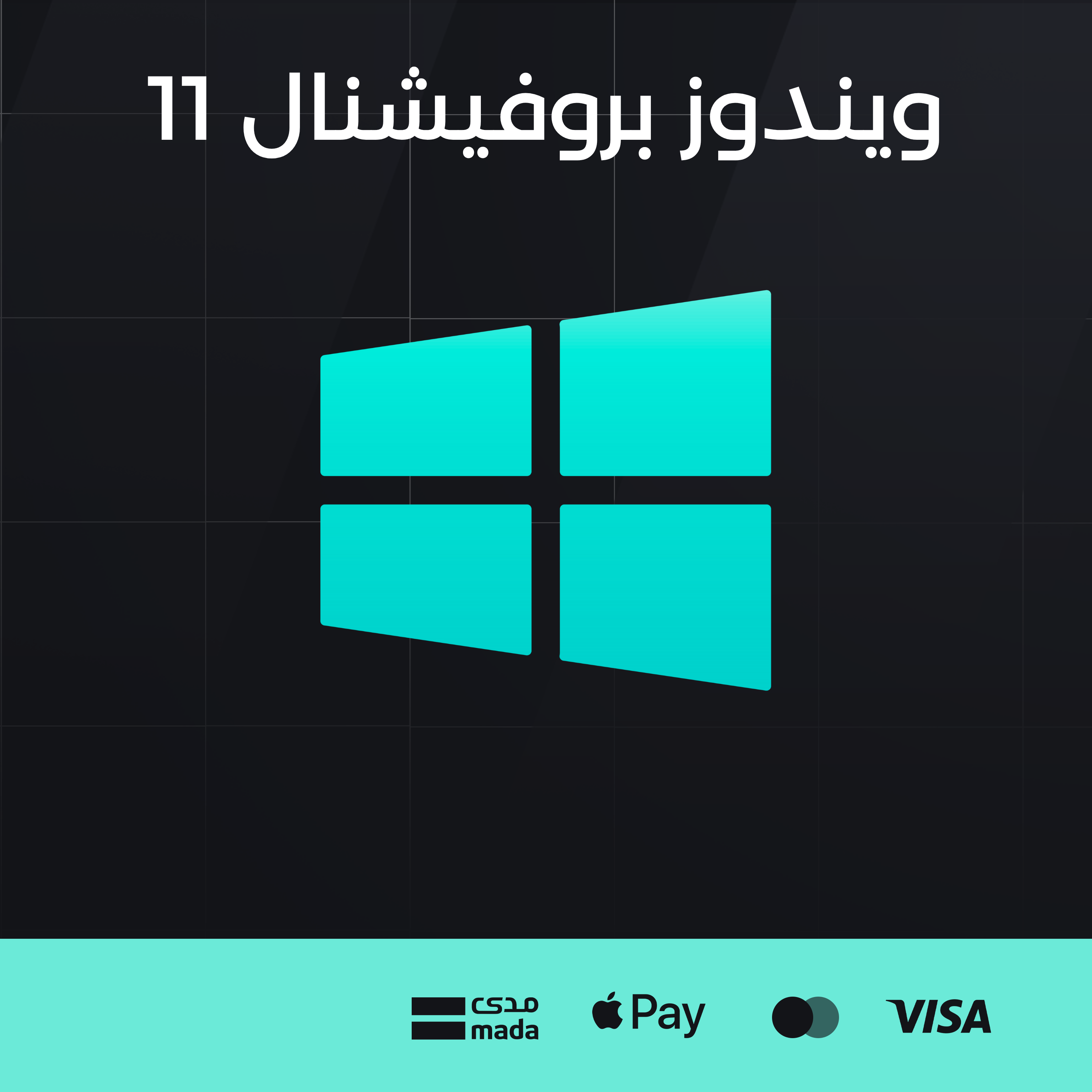 ويندوز بروفيشنال 11